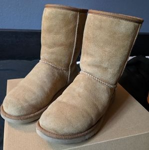 UGG Classic Short Boot in Chestnut